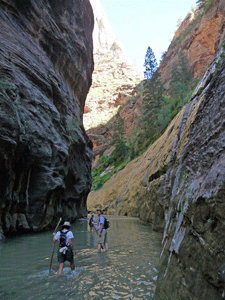Wading the river The Narrows Zion