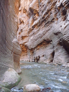 Wall Street The Narrows Zion