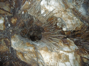 Ceiling Tunnel Lehman Caves NV