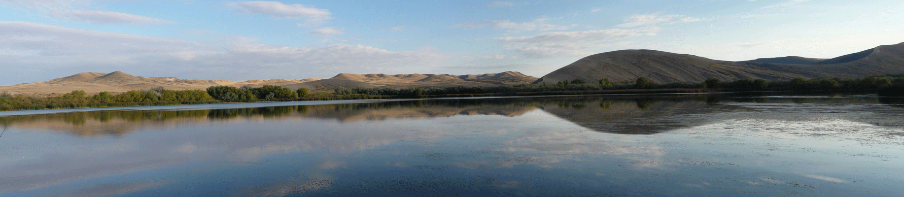 Bruneau Dunes Lake Panorama
