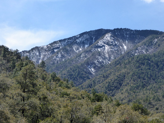 Snow Madera Canyon