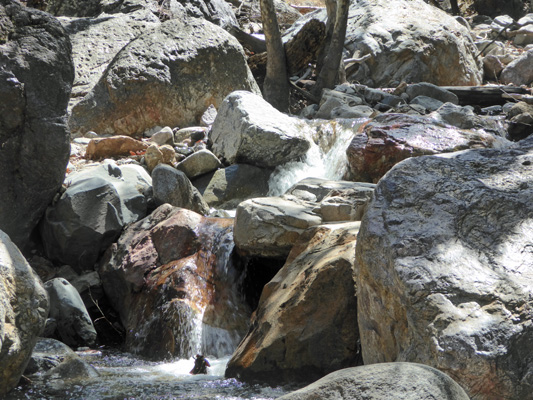 Madera Canyon cascade