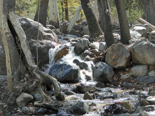 Madera Canyon cascade