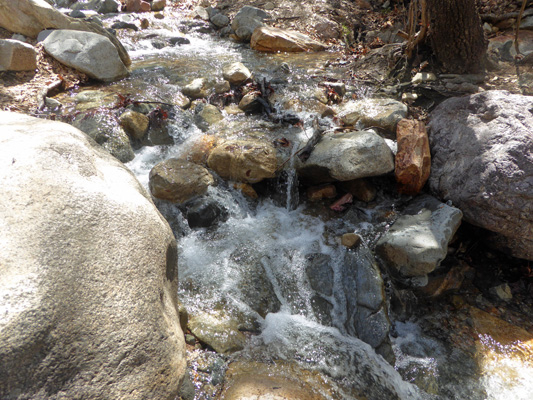 Madera Canyon cascade