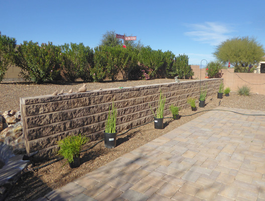 Patio without oleanders