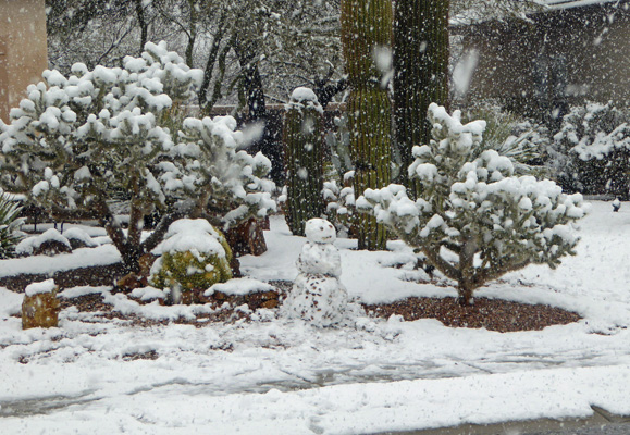 Snow Sahuarita Feb 2019
