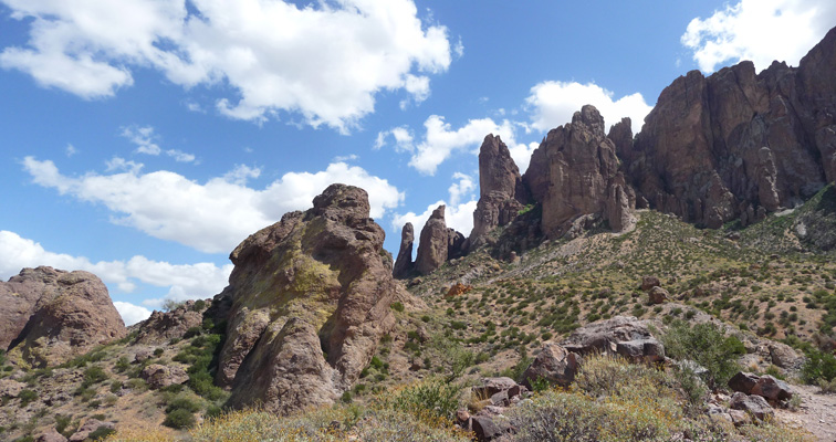 Superstition Mts from Treasure Loop Trail