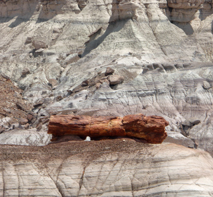 Blue Mesa petrified log Petrified Forest NP