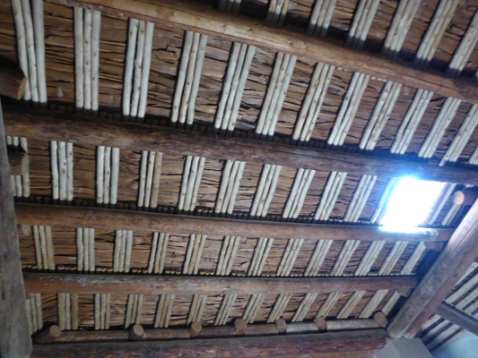 Ceiling Great Kiva Aztec Ruins NM