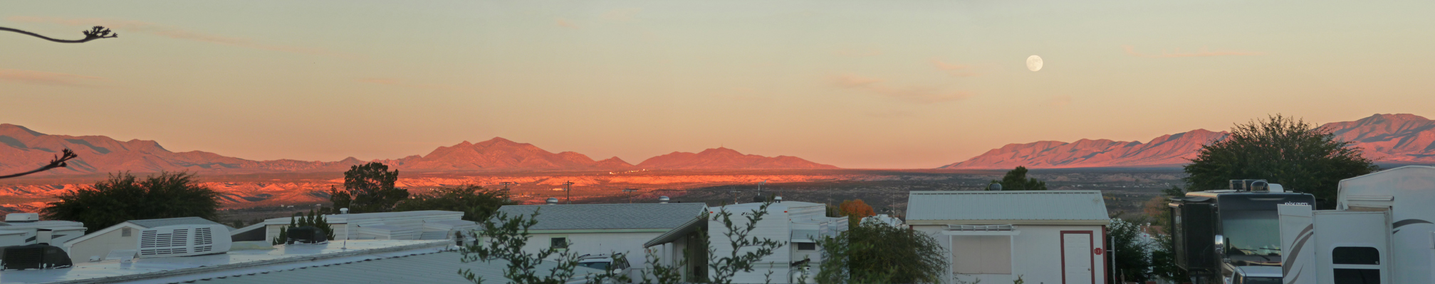 Sunset Saguaro Co-op Benson AZ