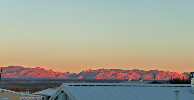 Sunset Saguaro Co-op Benson AZ