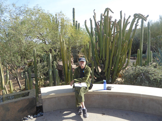 Walter Cooke Desert Botanical Garden Contemplation Garder