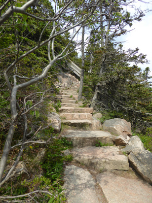 Stone stairs Bass Harbor Lighthouse trail
