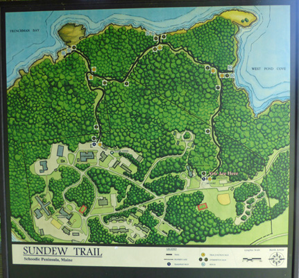 Sundew Trail map Schoodic Pen