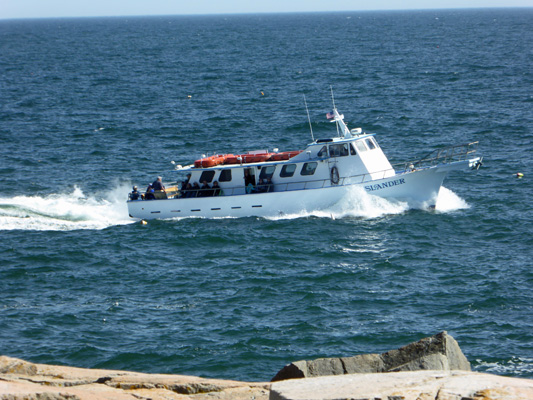 Islander tour boat Schoodic Pt