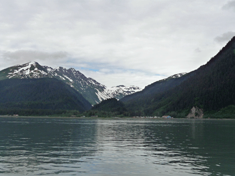 Resurrection Bay Alaska