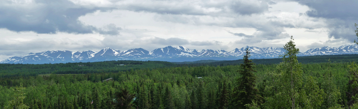 View from Morgan's Landing Recreation Site Alaska