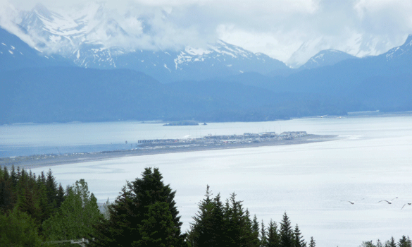 Kachemak Bay Homer Alaska