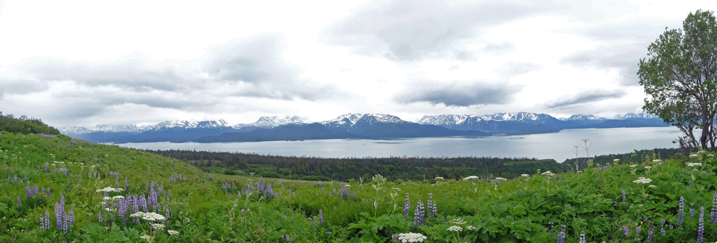 View from East End Road Home Alaska