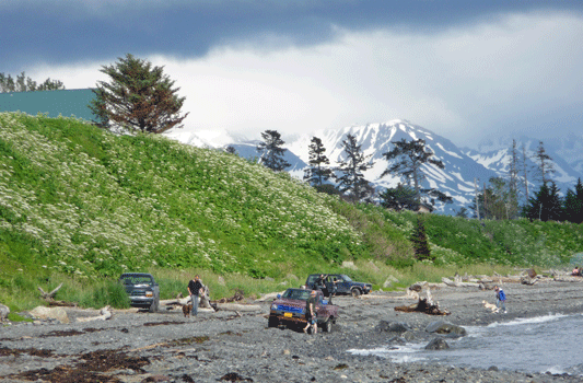 People driving on the beach below Oceanview RV Park Homer Alaska