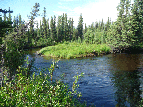 Mendeltna creek Alaska