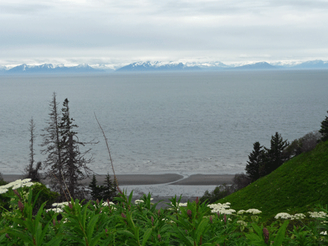 Katmai Range from Highway 1 Alaska