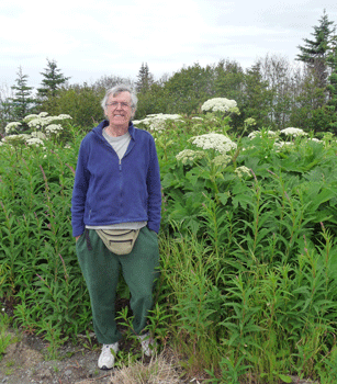 Walter Cooke with cow parsnip Alaska
