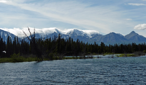 Mountains west of Pine Lake Yukon