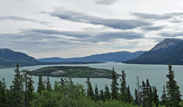 Bove Island Lake Tagish Yukon
