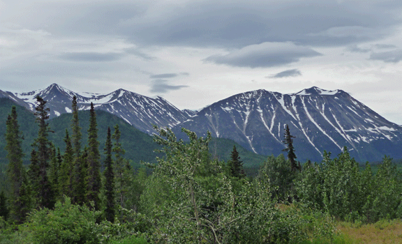 View from Klondike Highway Yukon