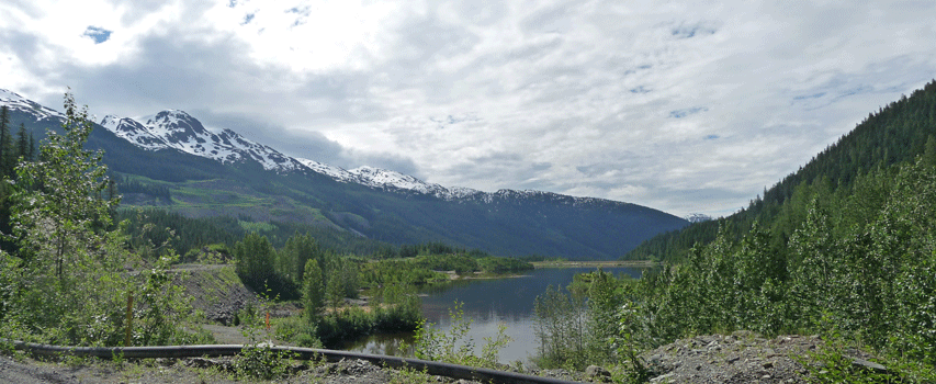 Salmon River from road to Salmon Glacier Hyder AK