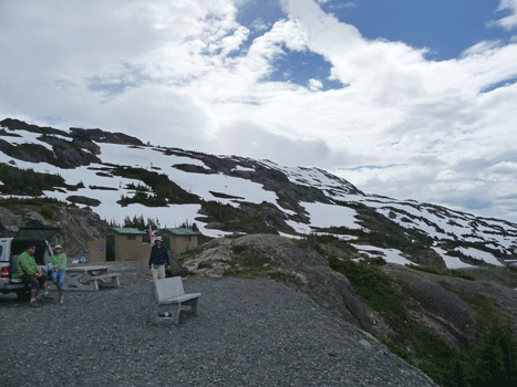 Meadows over Salmon Glacier Viewpoint.