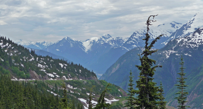 Veiw looking west from Salmon Glacier Road BC