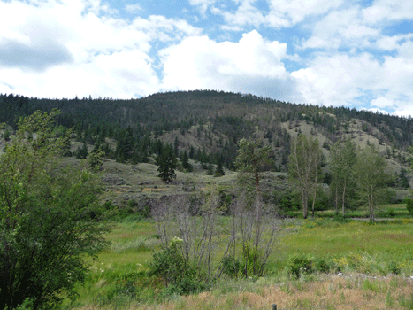 Hills along Highway 97 east BC