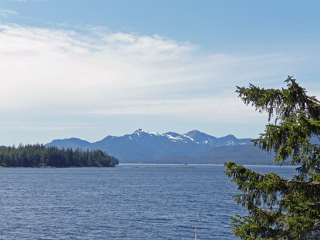 View from turn out on South Tongass Highway Alaska