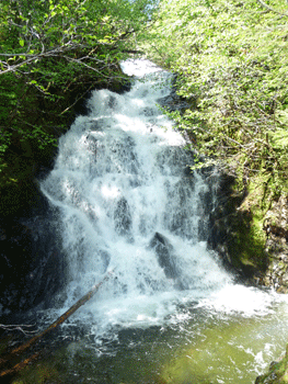 First waterfall on South Tongass Highway Alaska