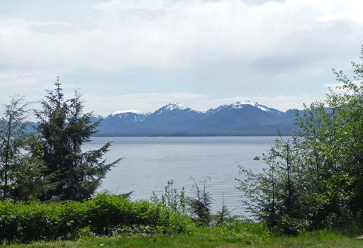 South Tongass Highway view