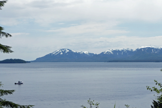 Herring Cove South Tongass Highway Alaska