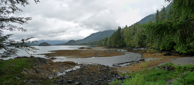 Settler's Cove at low tide