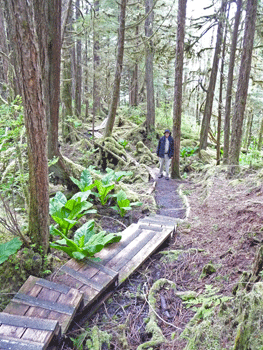 Stairs at Lunch Creek Trail Settlers Cove Ketchikan AK