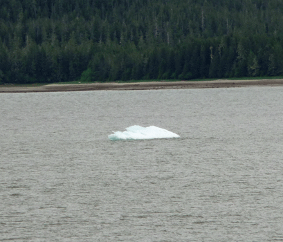 Ice Berg in Fredrick's Sound AK