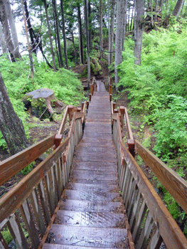 Stairs at Whale Park Sitka AK
