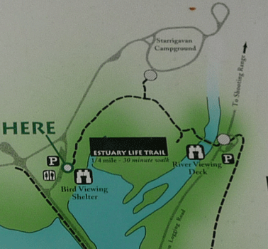 Starrigavan estuary map