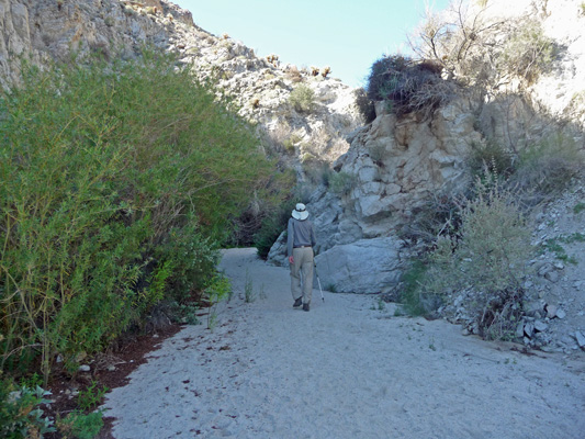 Shady section of Moonlight Trail