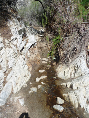 Wet section of Moonlight Trail