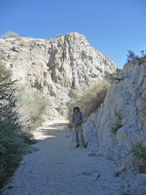 Walter Cooke Moonlight Trail