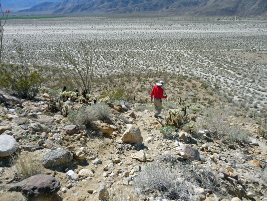 Walter Cooke going down Alcoholic Pass Trail