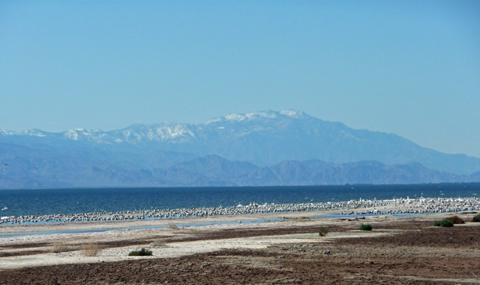 Mountains north of Salton Sea