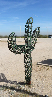Horseshoe saguaro