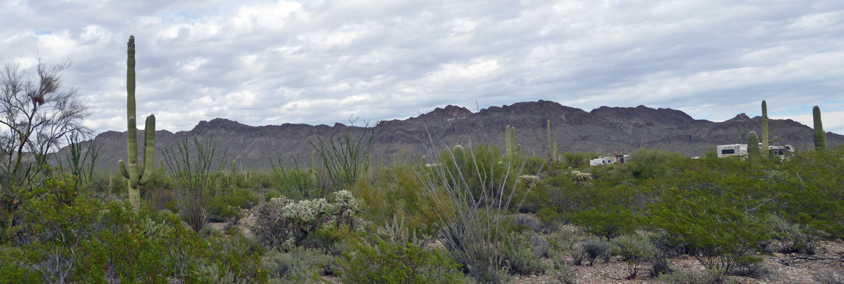 Gilbert Ray Campground site view